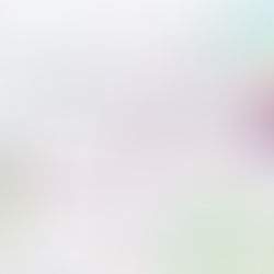 Going West! YellowStone and the Grand Tetons.