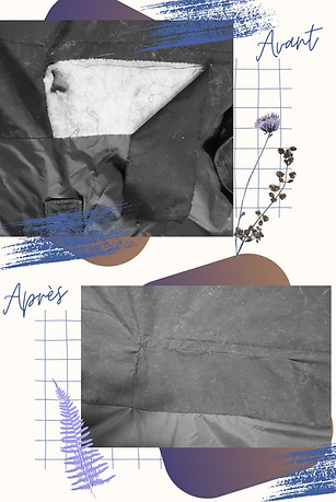 Avant (3).png
