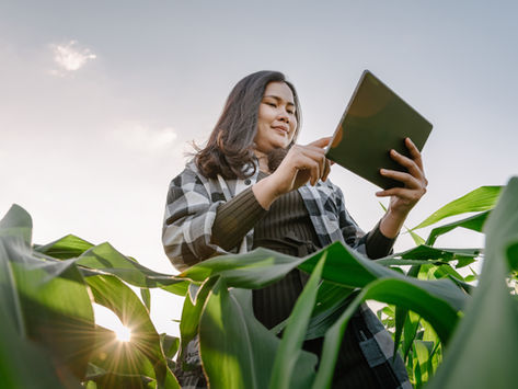 AI Research Gives Small Farmers Big Tools