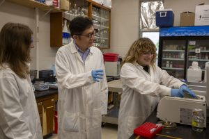 Standout Research in Missouri Suggests Pigs Could Support Alzheimer’s Cure