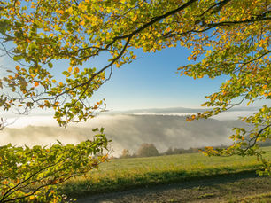Nebel: Eine Lebensader der Natur und ein Symbol des Übergangs