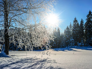 Weihnachten im Schatten des Abschieds