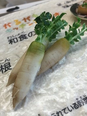 大根
