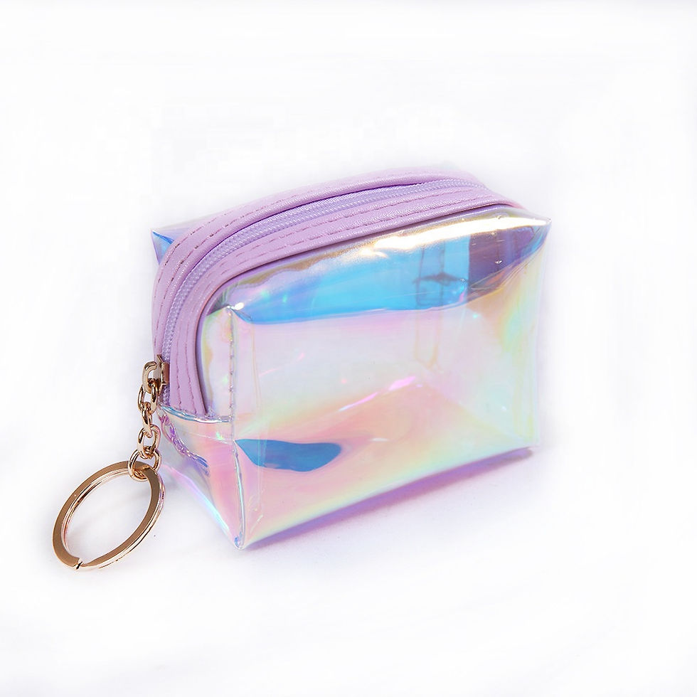 Thumbnail: Coin Purse - Holographic Model