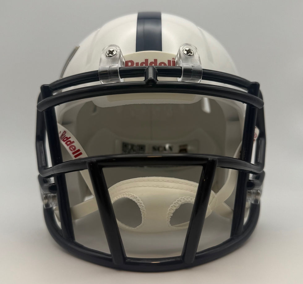 Thumbnail: Spring Valley Grizzlies HS 2015 NV Riddell Speed Mini Helmet