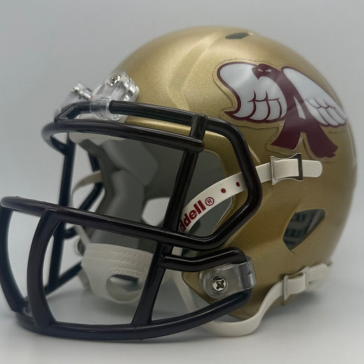 Iowa HS mini football helmets | Gridiron Man Cave Iowa HS mini football helmets | Gridiron Man Cave