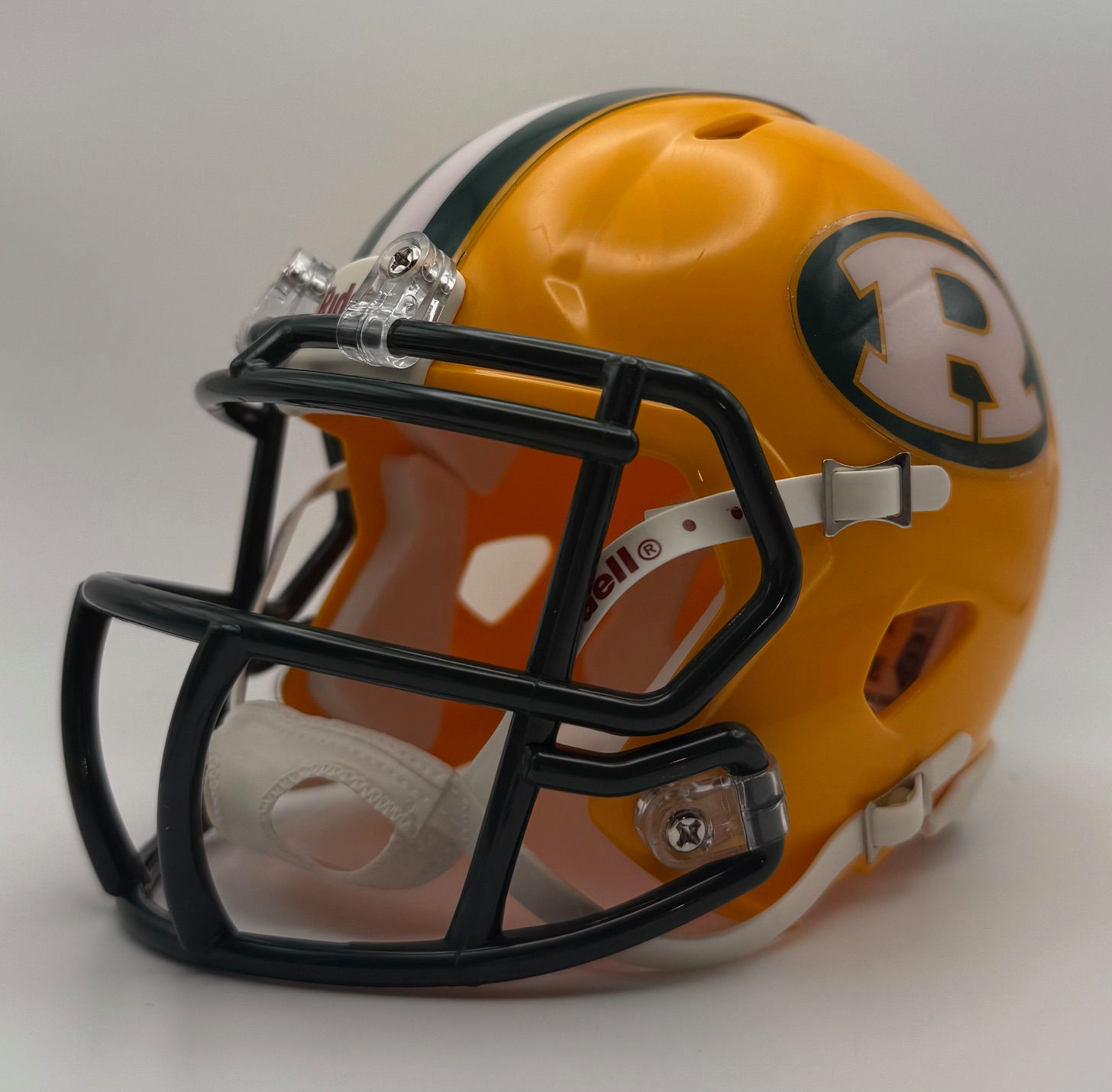Forest Hills Rangers HS (PA) 2024 Riddell Speed Mini Helmet