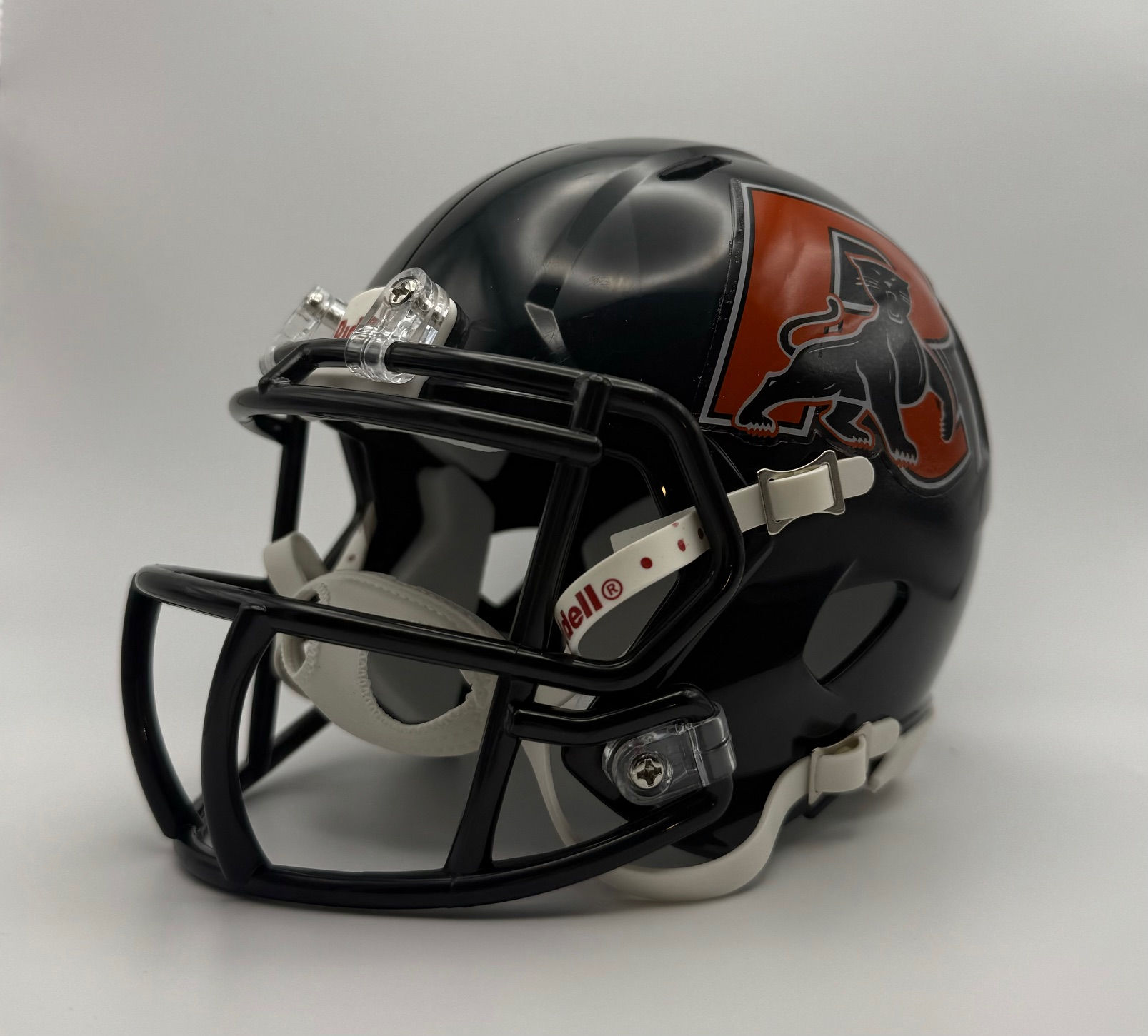 Reedsville Panthers HS (WI) 2021-2024 Riddell Speed Riddell Speed Mini Helmet