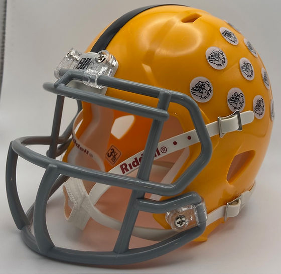 bike football helmets Ampipe Bulldogs HS (PA) Bike mini helmet from the movie All the Right Moves