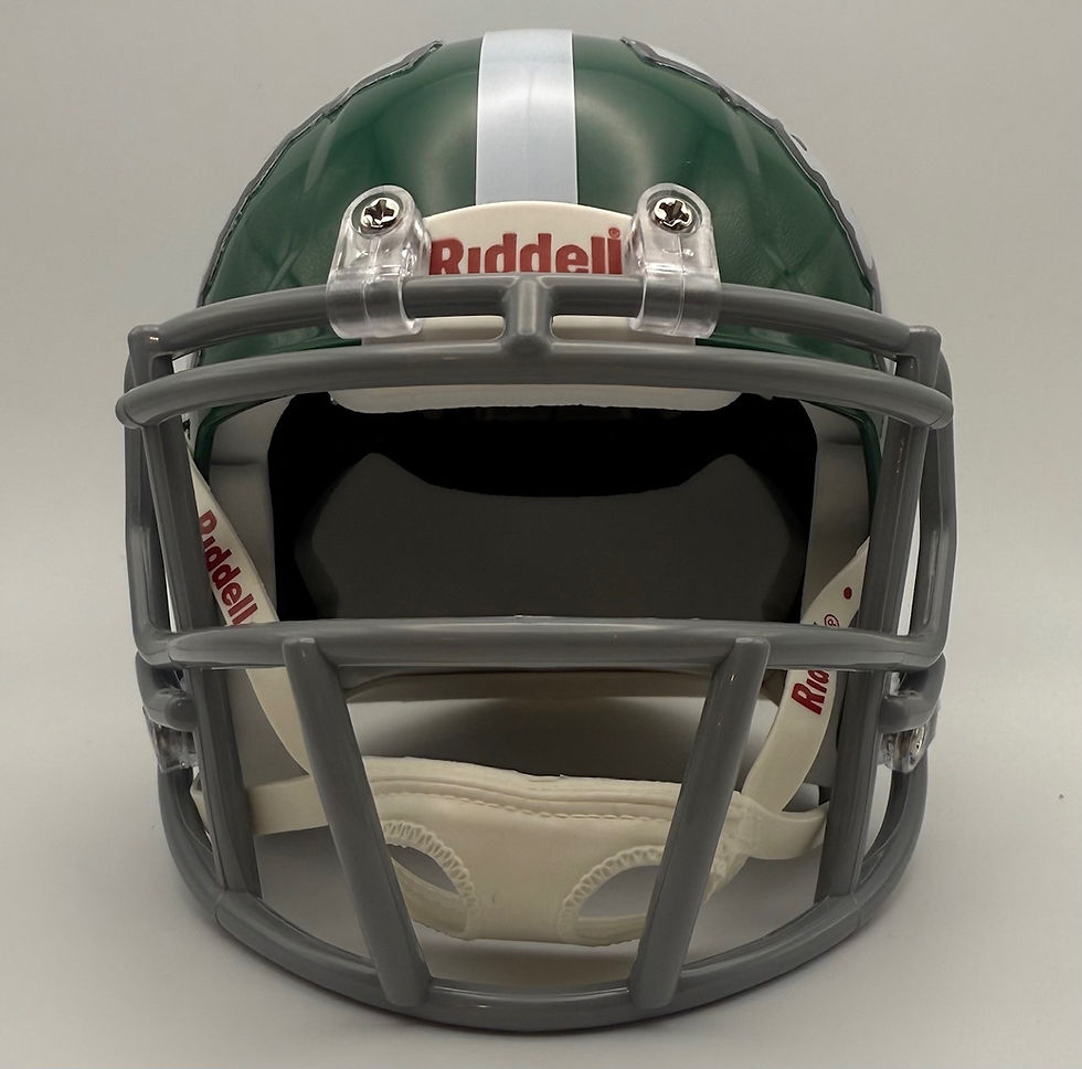 Thumbnail: Michigan State Spartans 1973 Riddell Speed Mini Helmets