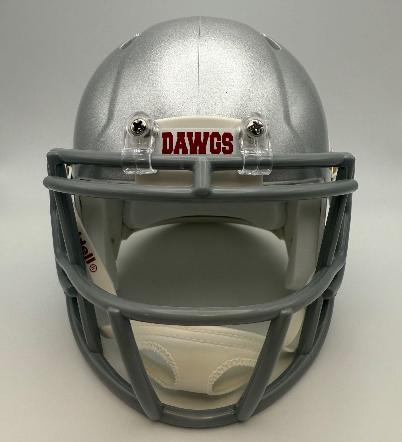 Cedartown Bulldogs HS (GA) 2024 Riddell Speed Mini Helmet