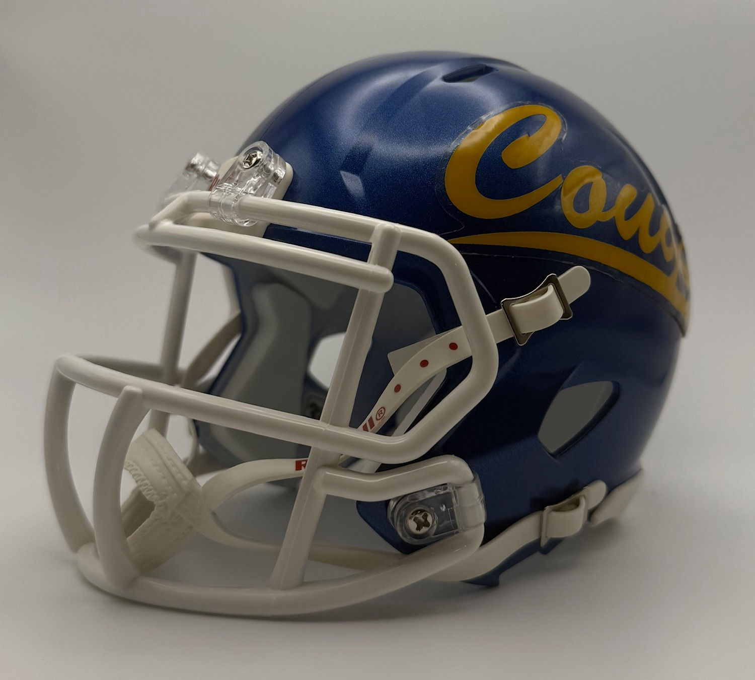Caldwell Cougars HS 2012 ID) Riddell Speed Mini Helmet