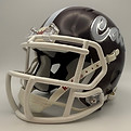 Clear Creek Wildcats HS (TX) 2024.jpg