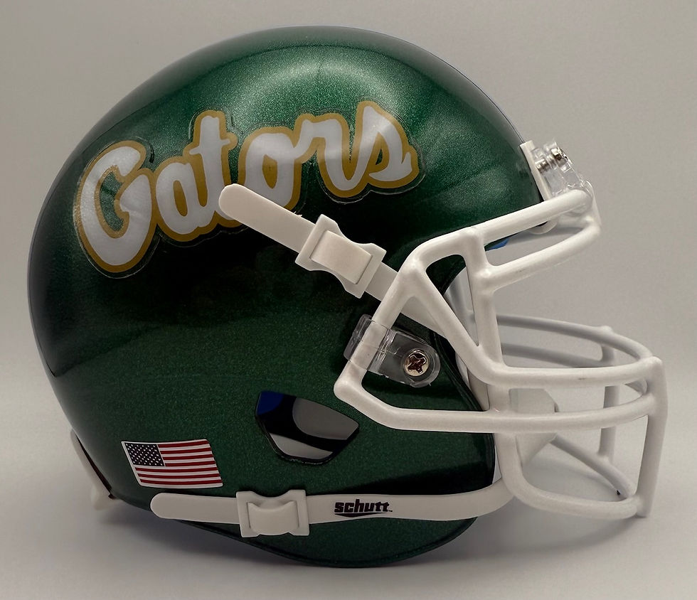 Thumbnail: Ware County Gators HS 2014 (GA) Schutt XP Mini Helmet