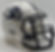Wisconsin Stout Blue Devils 2021 Riddell Speed mini helmet