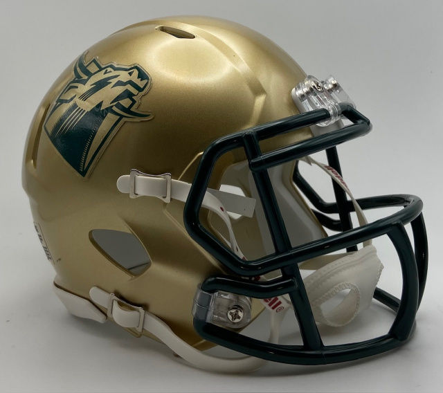 South Florida Bulls 1997-2002 & 2023 (FL) Riddell Speed mini helmet