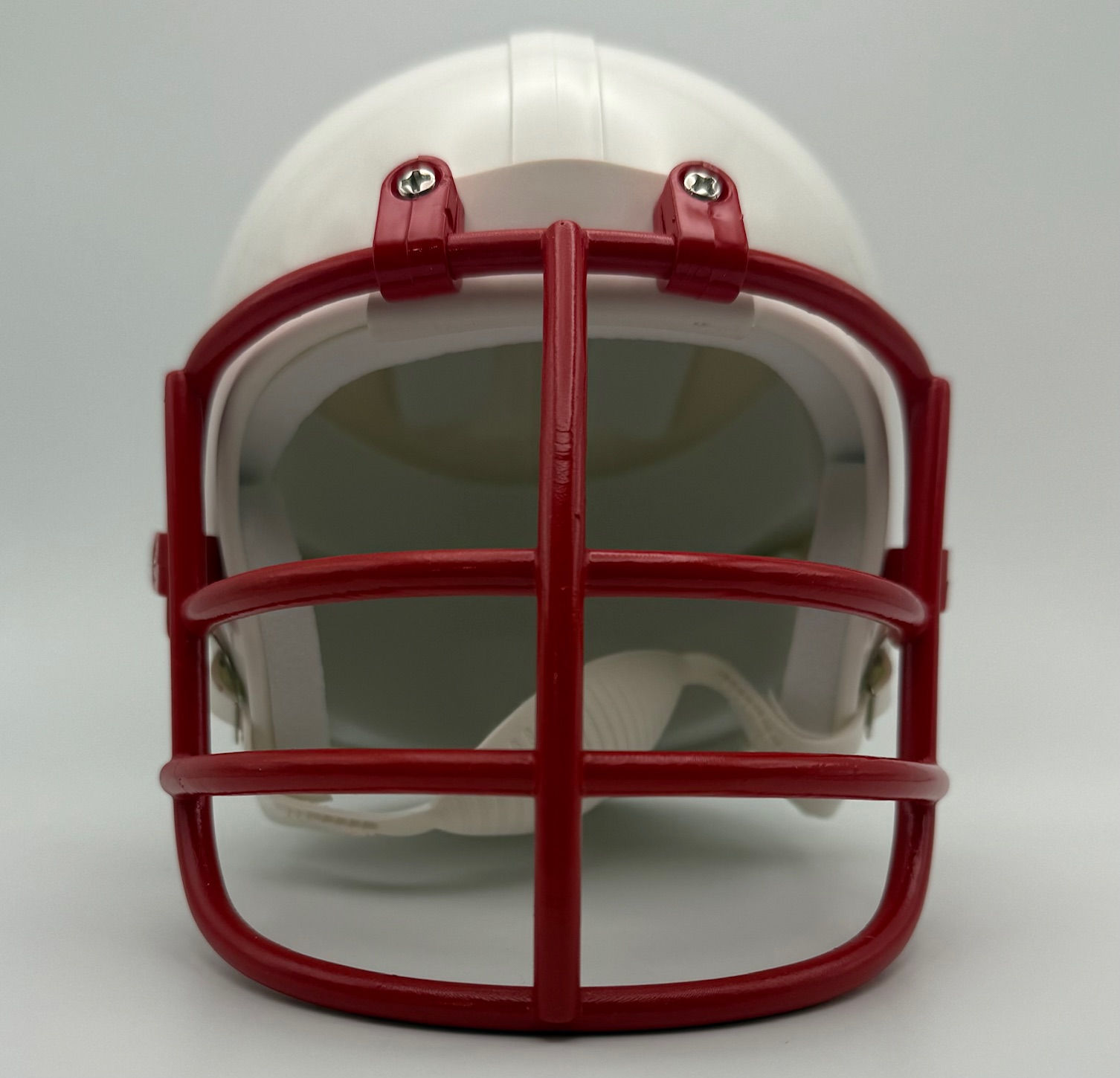 MaxPro NJOP Mini Helmet FaceMask