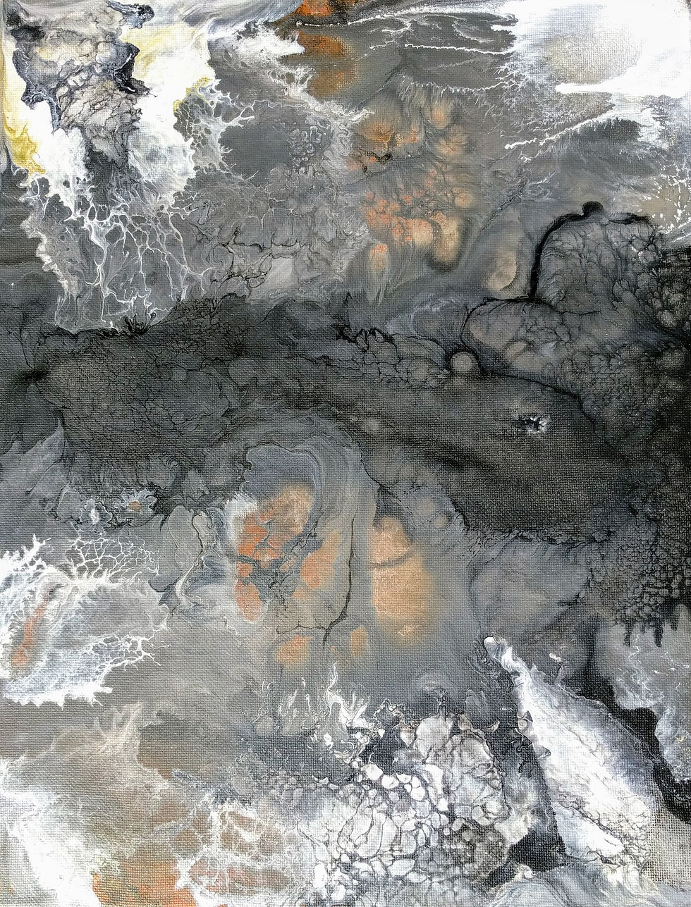 soil2 and fungi