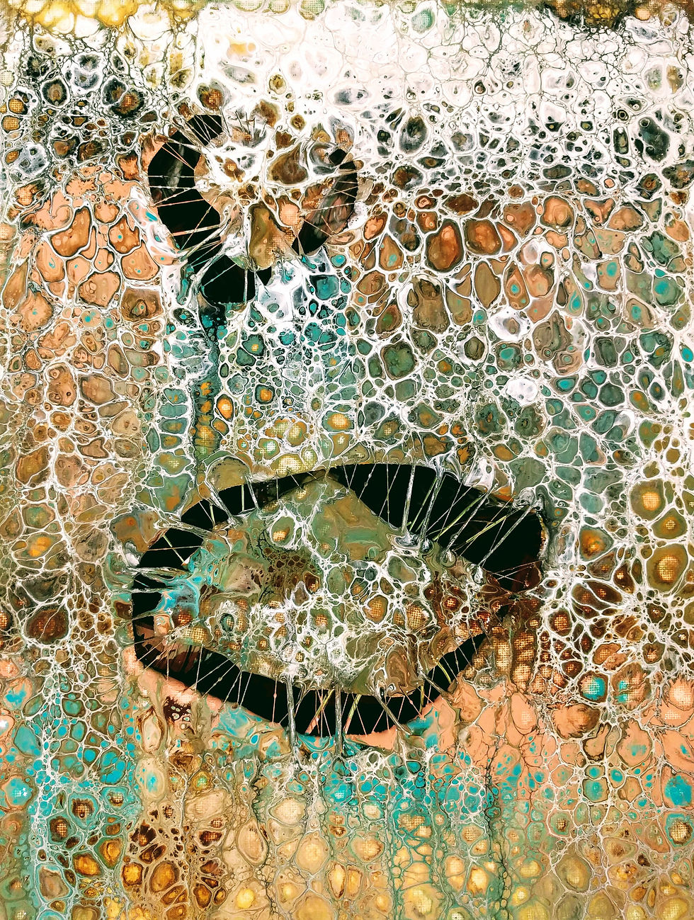 High elevation fungi