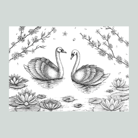 Two swans in a lake nature art drawing 