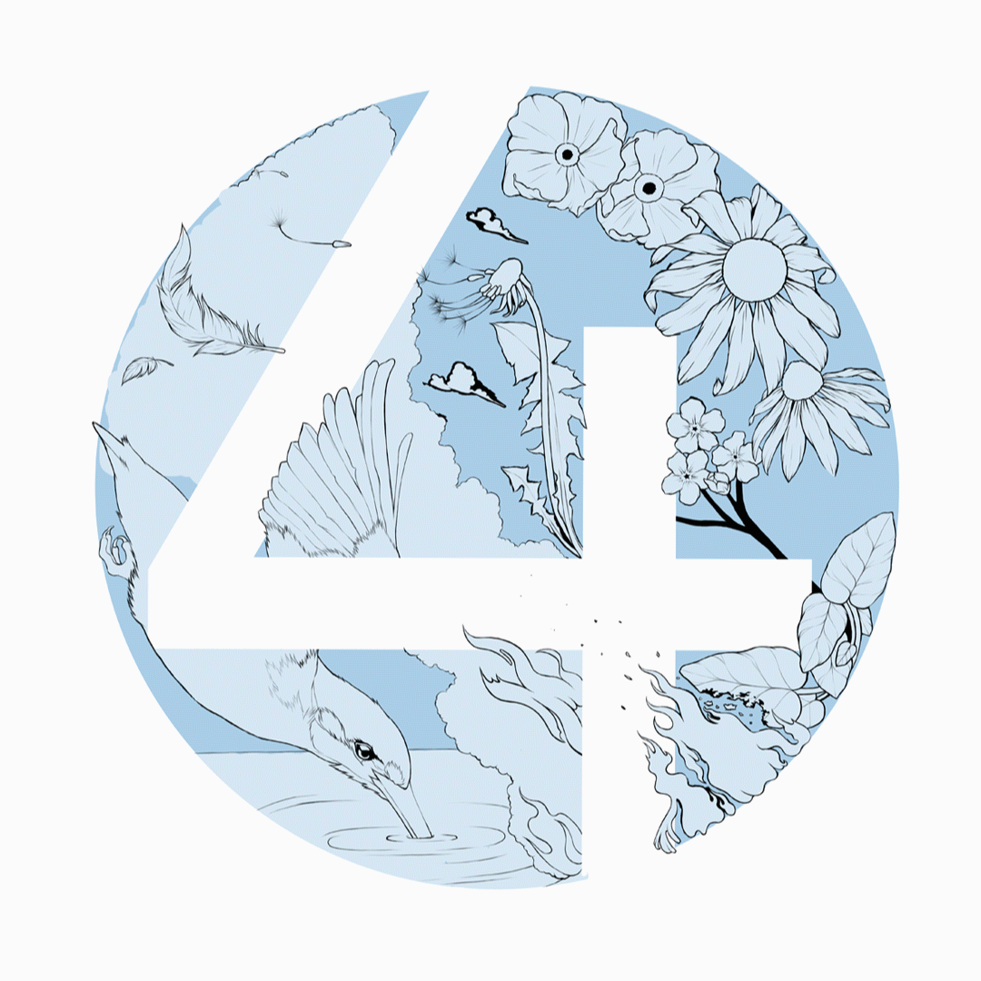 Comp 1.gif