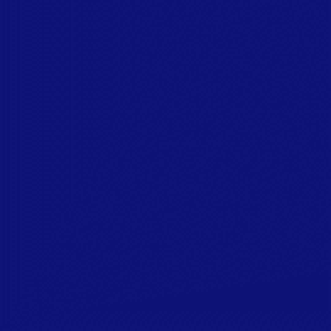 Jan Amos Square insta edit 3.gif