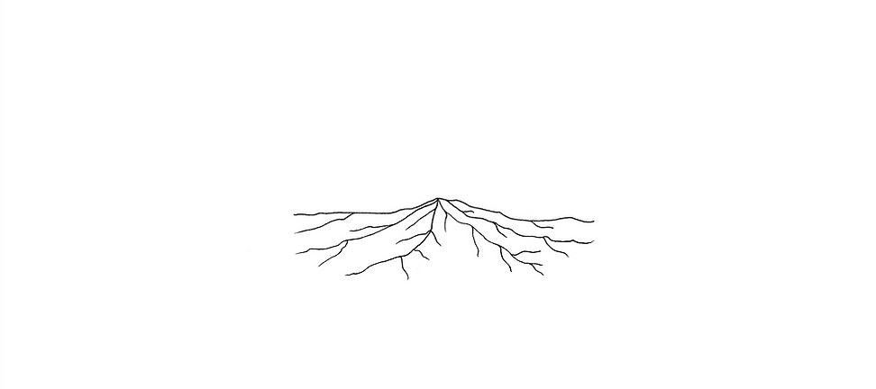 1 - Joana Patrao - raiz - fundo branco.png