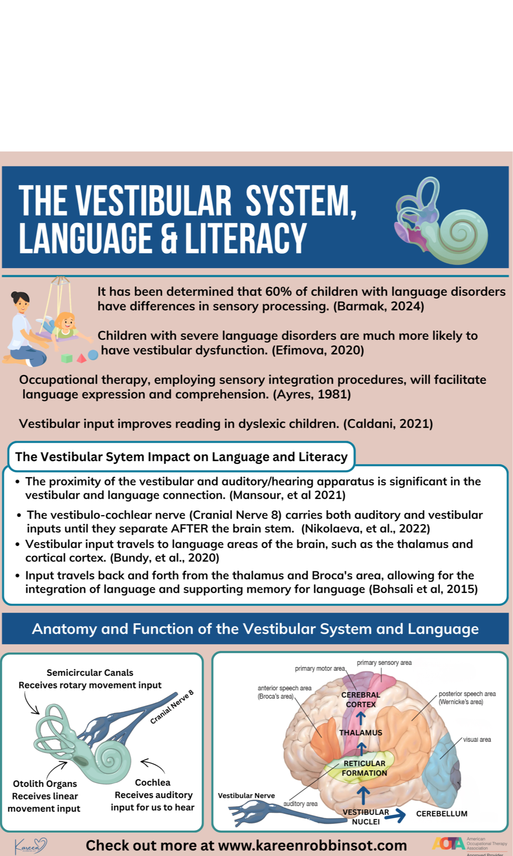 Vestibular, Language and Literacy Anatomy and Function