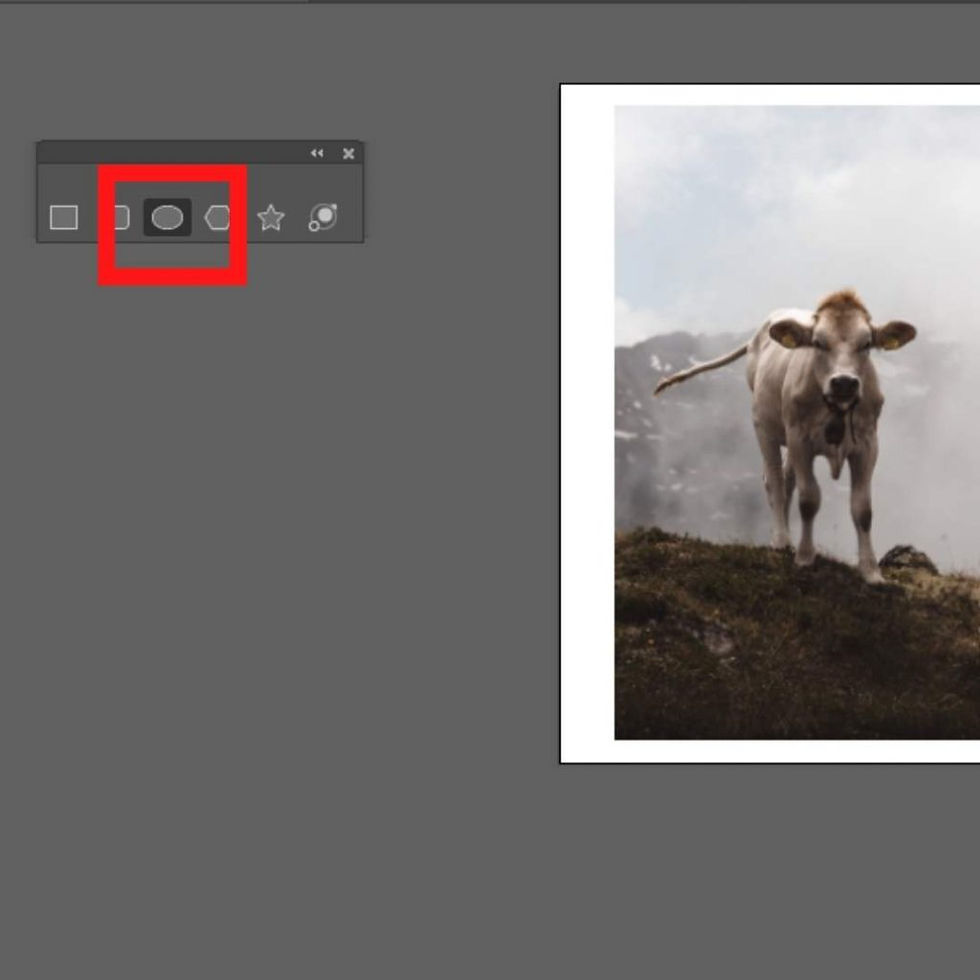 Cara clipping mask di ai