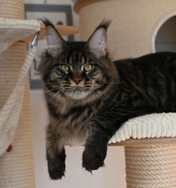 Leonardo, 8 mesi e 1/2