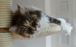 Foto 12-05-18, 16 26 50