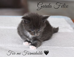 For me Formidable, 2 settimane