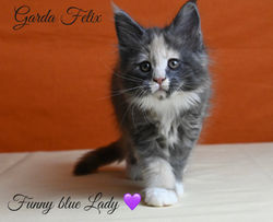 Funny blue Lady, 8 settimane