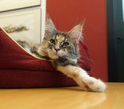 2015-05-06 - 3 mesi e 1/2