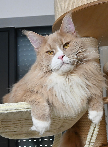 foto 13-03-22, 11 14 15.jpg