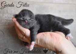 For me Formidable, 5 giorni