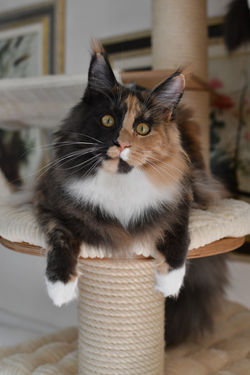 Foto 26-12-18, 12 09 03