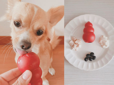 Ideas para rellenar el Kong de tu perro