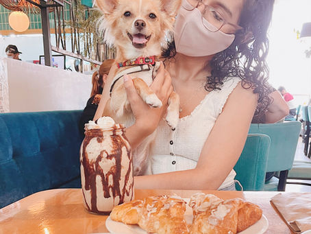 10 Cafés Pet Friendly en Medellín