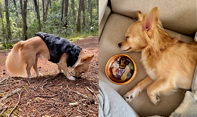 Ilustración_sin_título (8).png