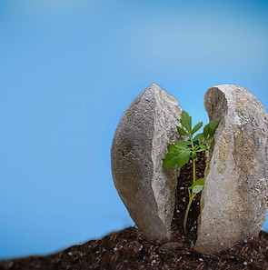Personne avançant vers une prairie lumineuse, symbole d'un accompagnement des traumatismes et blessures émotionnelles à Limours.