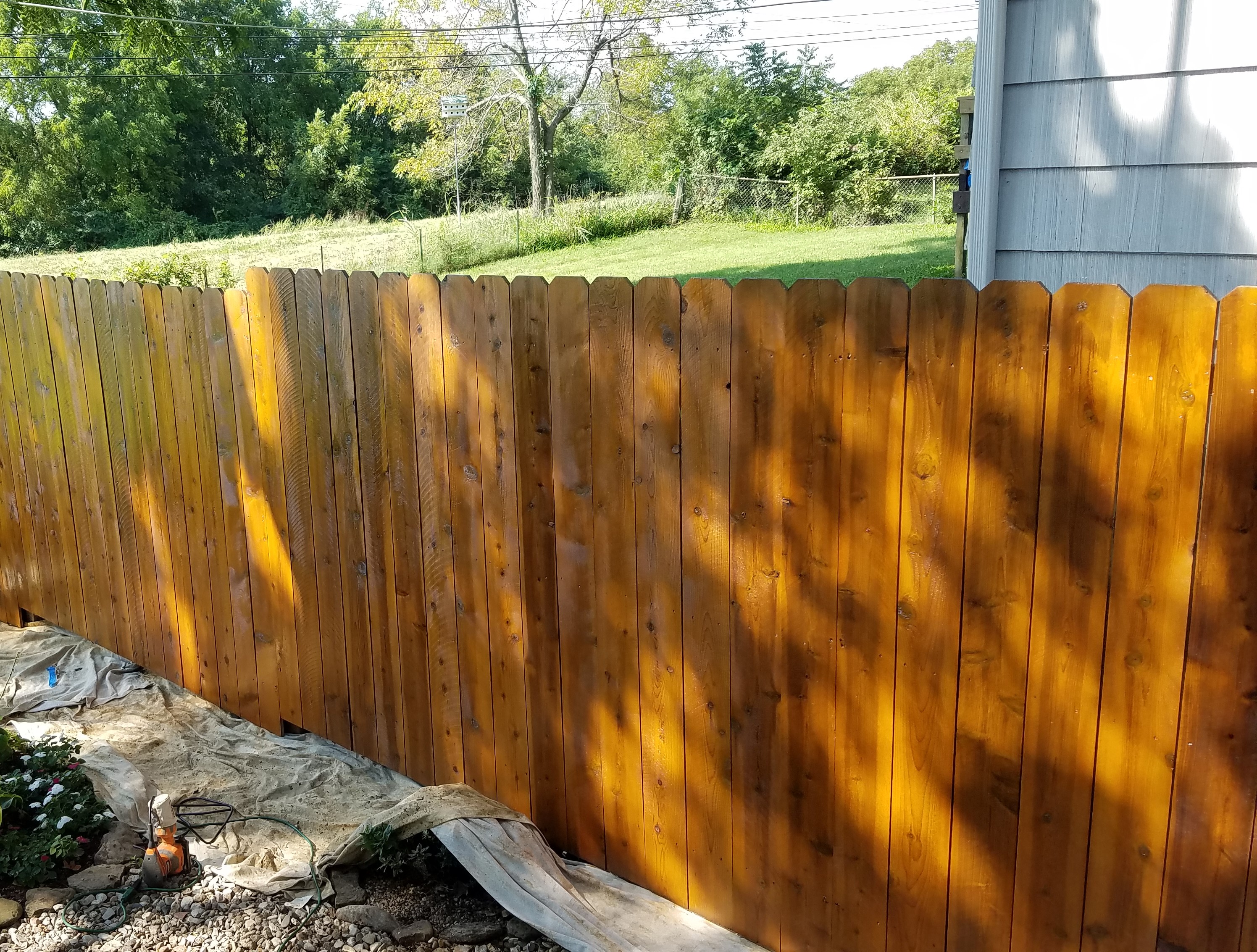 Stained fence