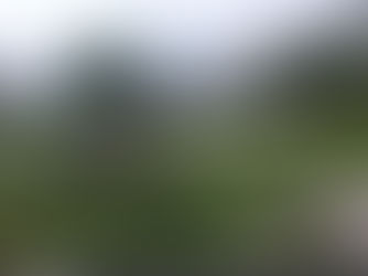 What Crossed Our Camera?