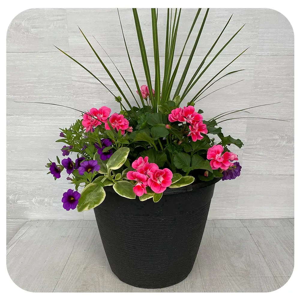 Outdoor Patio Pot-Mother's Day Week Exclusive