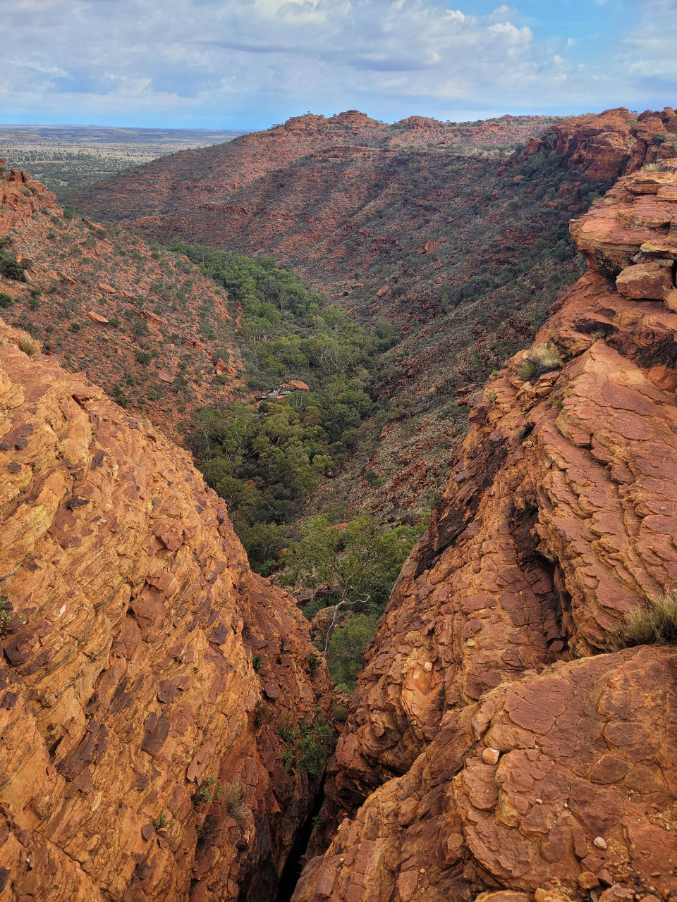 Watarrka (Kings Canyon) rim walk