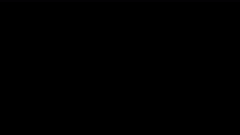 cs gif 1.gif