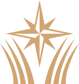 THE GOLD STAR_edited.png
