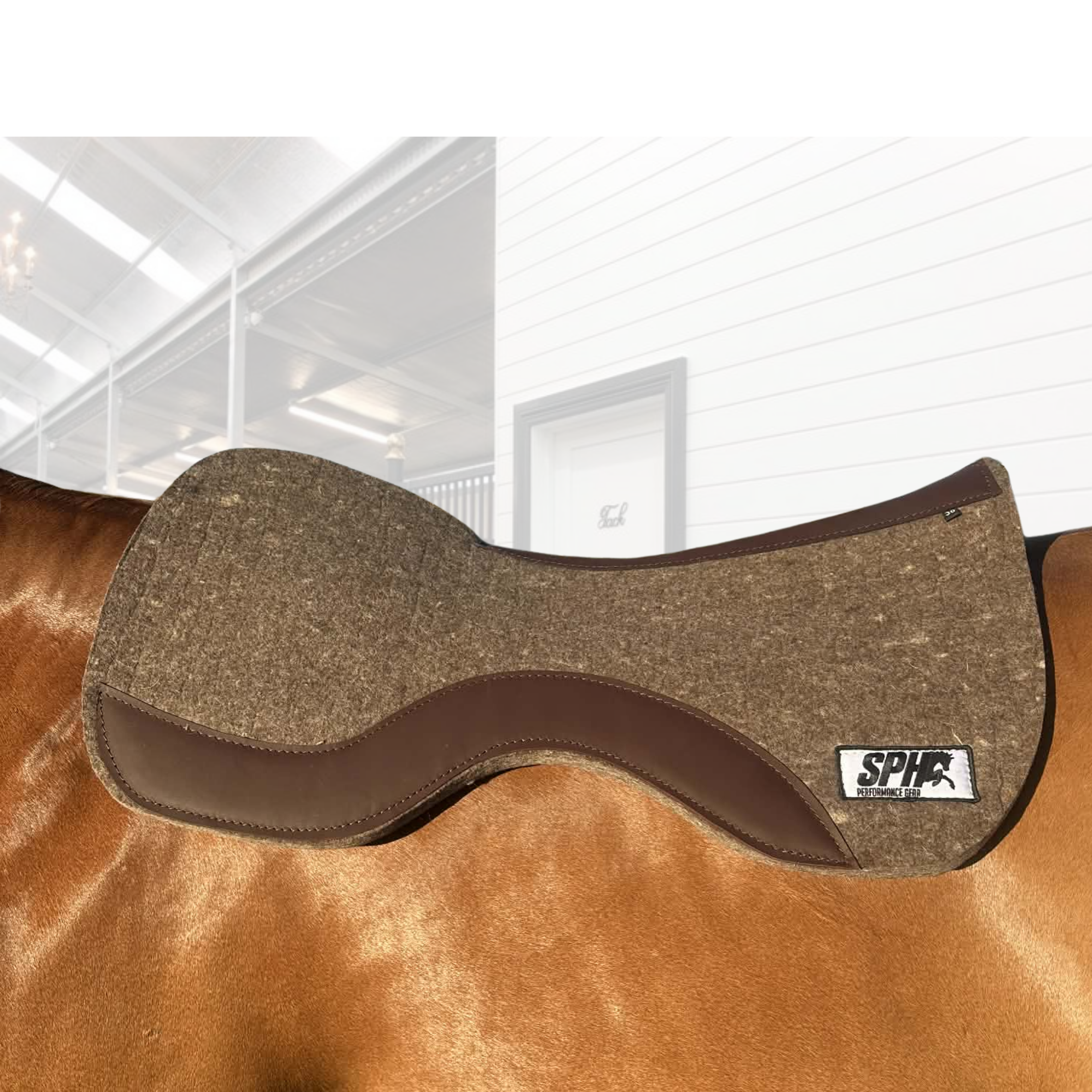 Coupe Dark Grey/Brown Trim