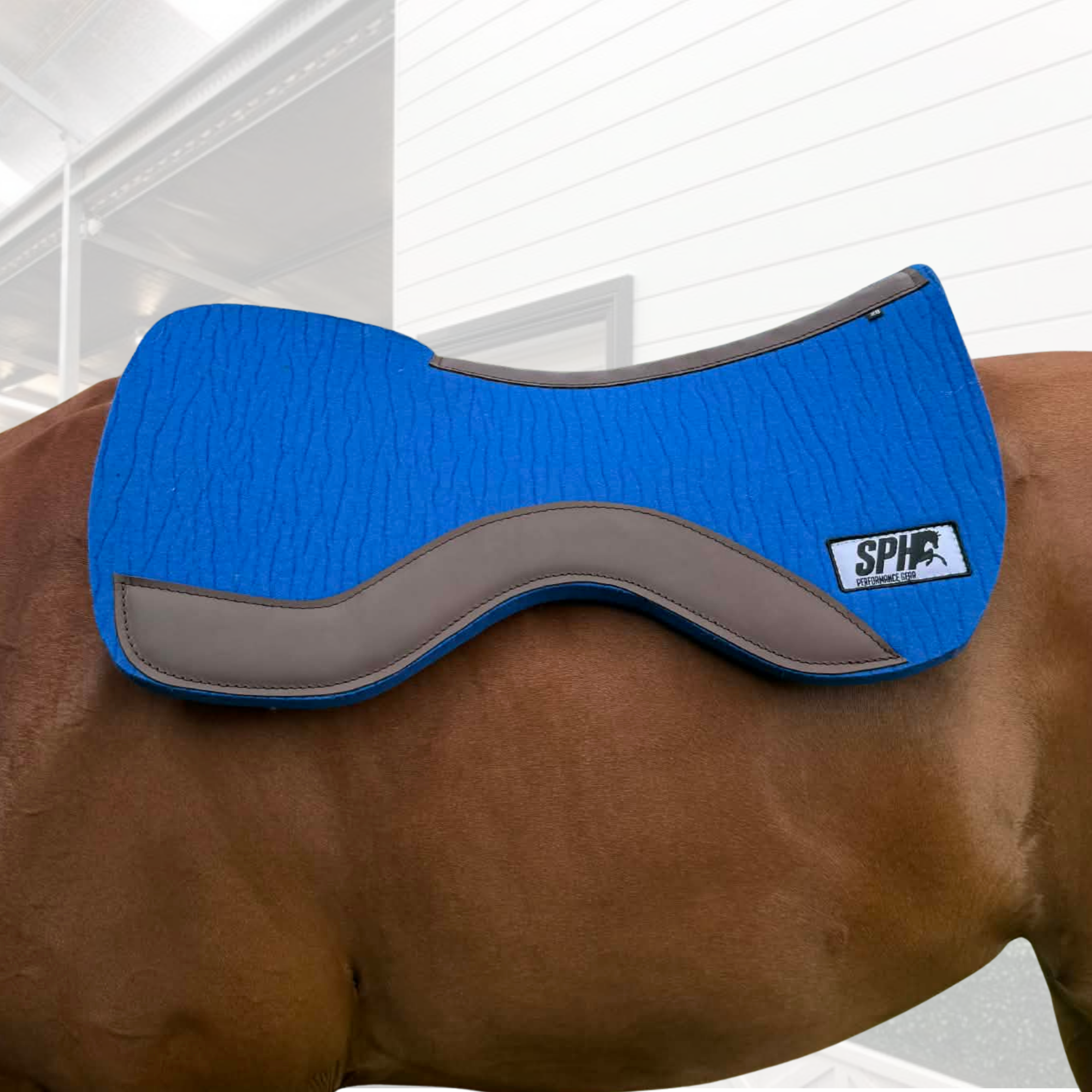 Coupe Royal Blue/Brown Trim