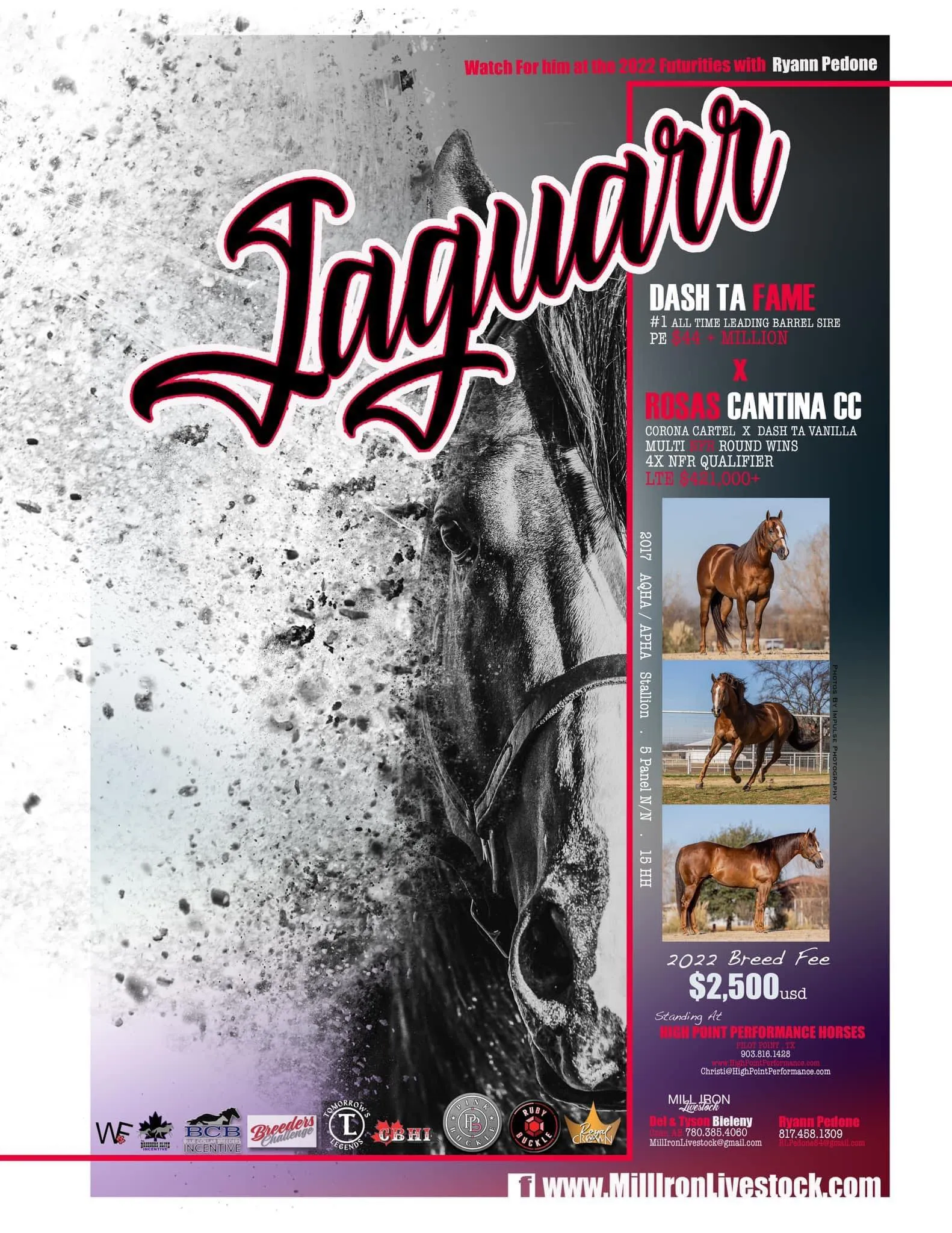 Jaguarr-1920w.webp